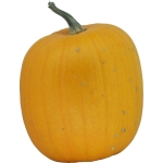 Jack O Lantern